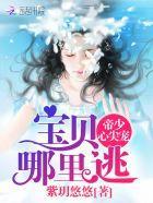 帝少心尖宠:宝贝,哪里逃