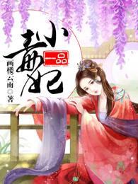 一品小毒妃
