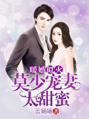 暖婚似火:莫少宠妻太甜蜜