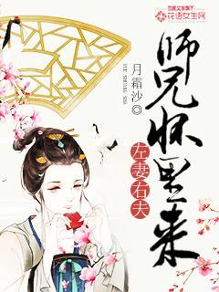左妻右夫:师兄怀里来