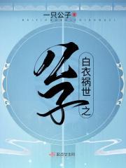 白衣祸世之公子