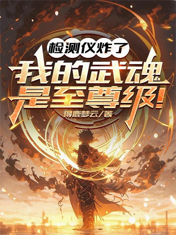检测仪炸了:我的武魂是至尊级!