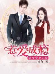 惹爱成瘾:陆少宠妻无度