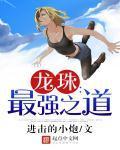 龙珠:最强之道