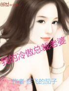 我的冷傲总裁老婆