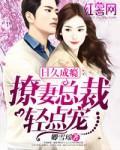 日久成瘾:撩妻总裁轻点宠