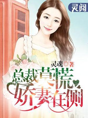 总裁莫慌,娇妻在侧