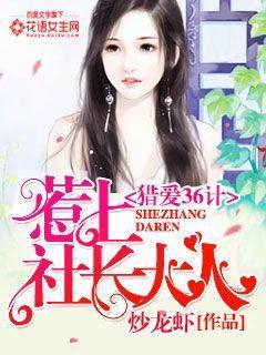 猎爱36计:惹上社长大人