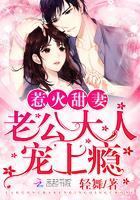 甜蜜隐婚:老公大人,宠上瘾